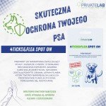 Krople Spot On na pchły i kleszcze dla psów 3 x 1,5 ml